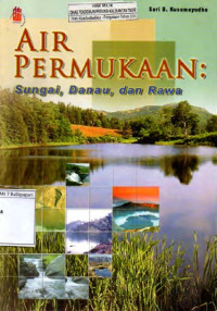 Image of Air Permukaan : Sungai, Danau, dan Rawa